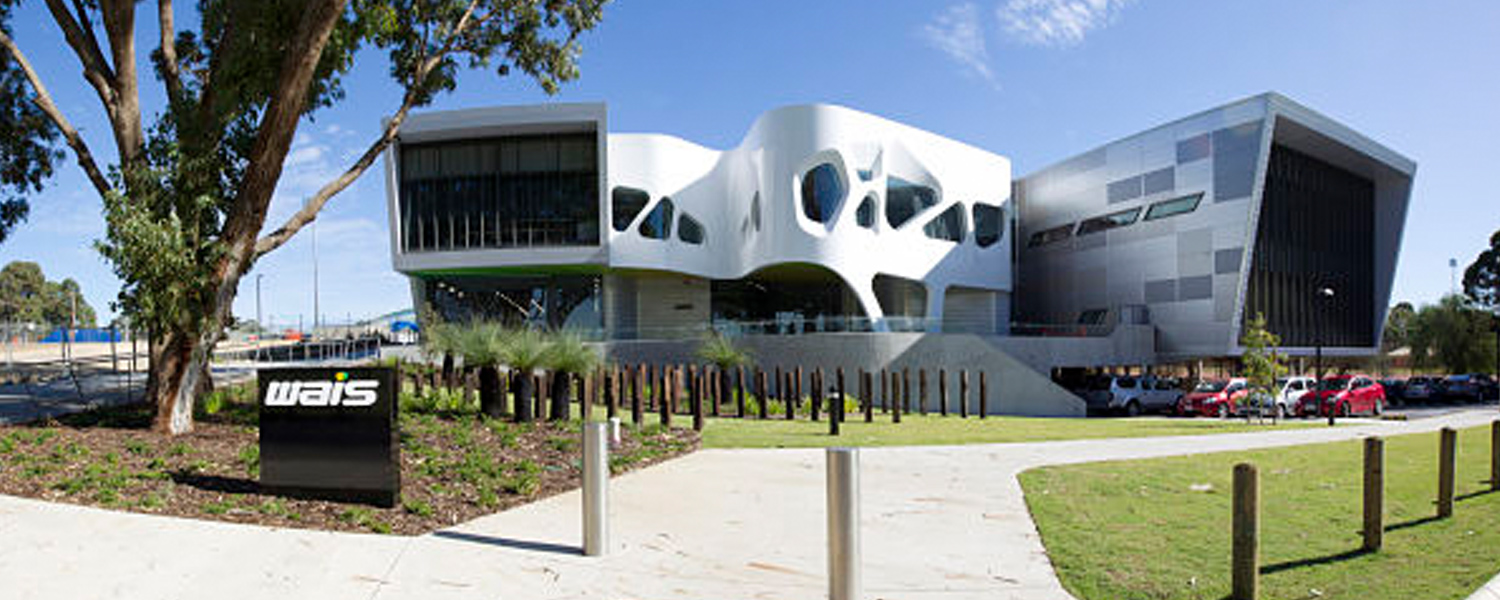 CS-WAIS-image2